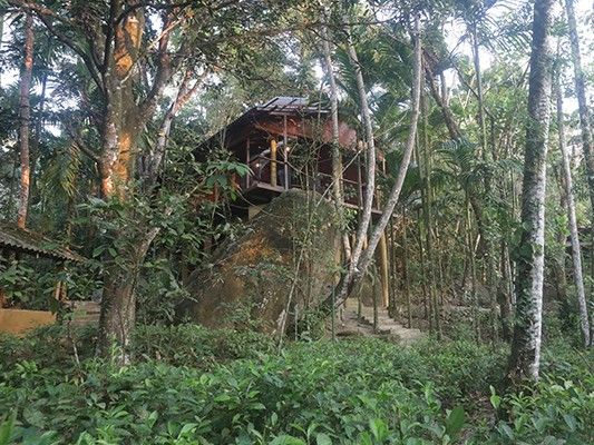 Treehouse - Matugama