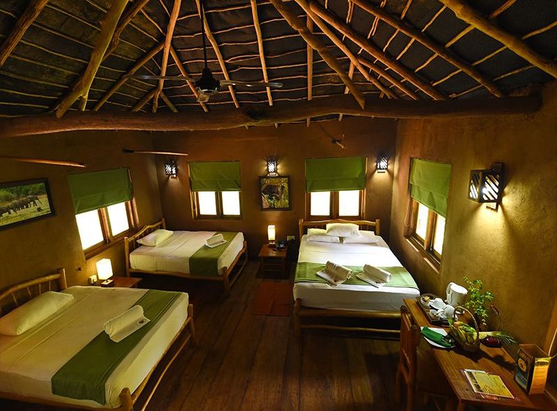Sri Lanka familie reis vakantie jungle