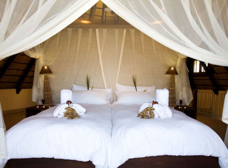 Etosha safari camp lodge