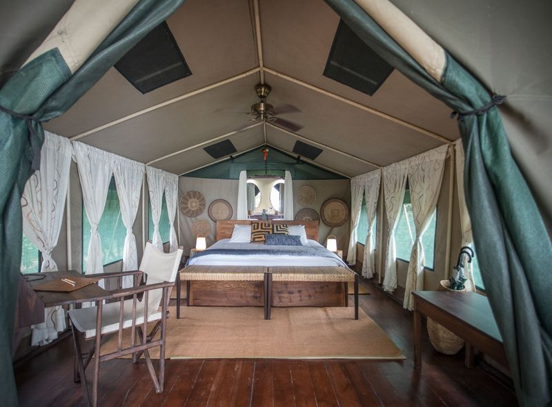 Tanzania - Nyerere NP - Impala tented camp