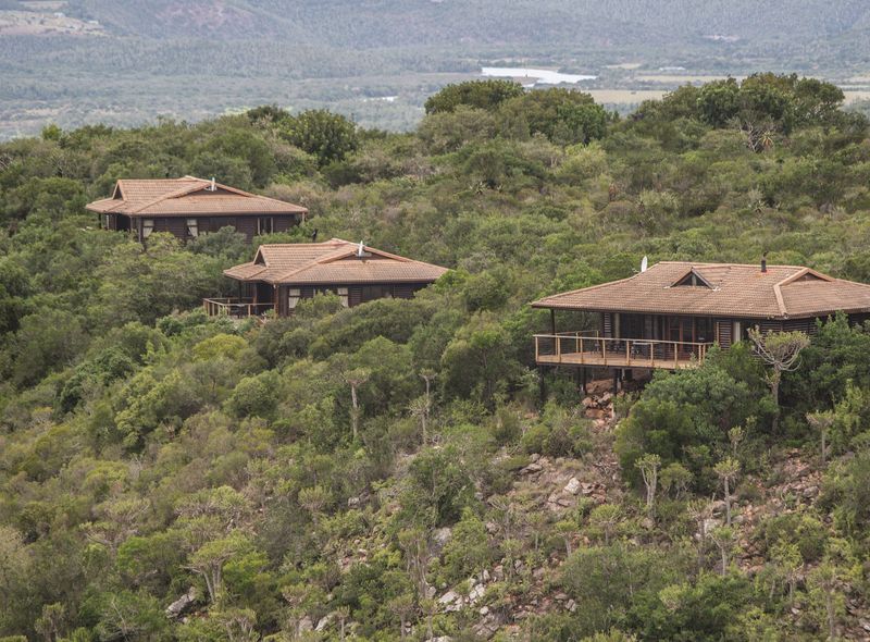 Kariega Main Lodge cabins