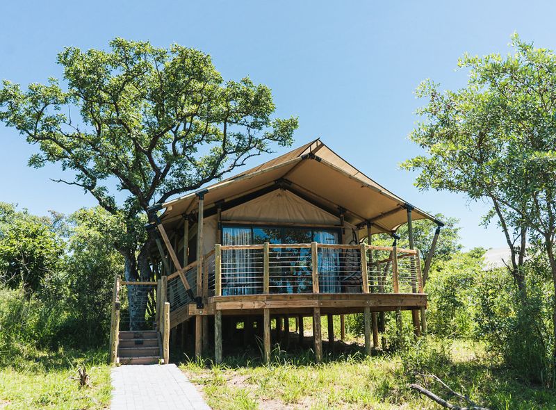 Mdluli tent