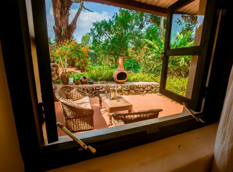 West Kilimanjaro Tanzania Afrika boederij