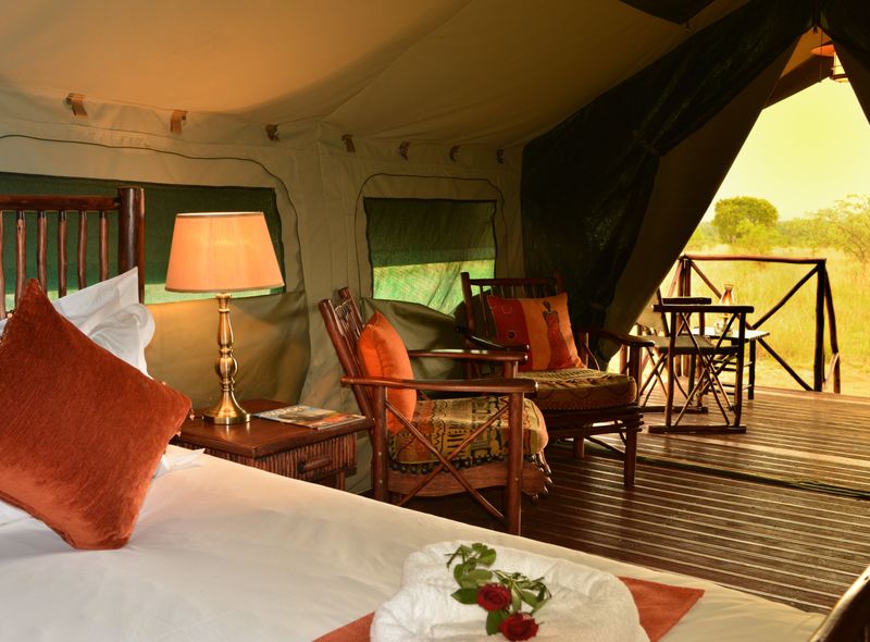 Safari Zuid Afrika