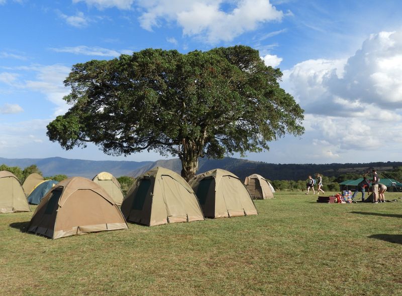 camping safari ngorongoro tanzania afrika