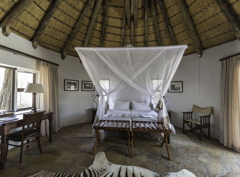 Etosha safari namibië