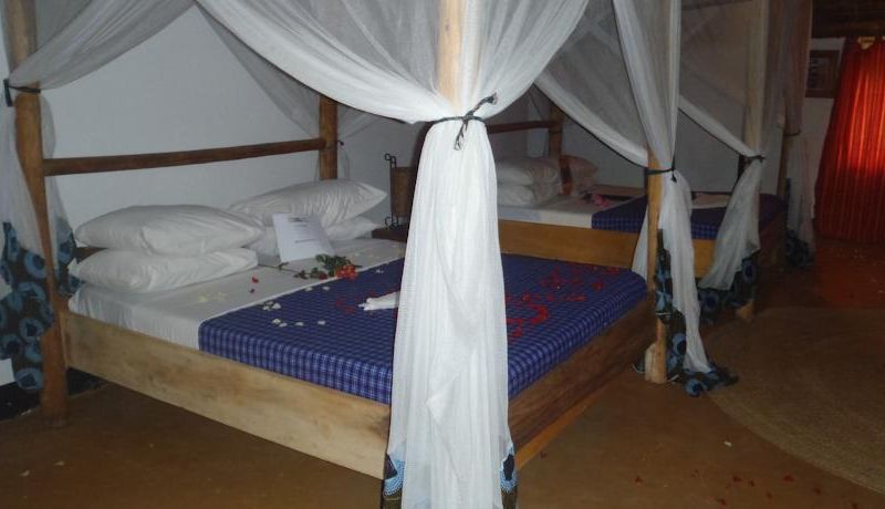 Honey Badger Lodge Moshi