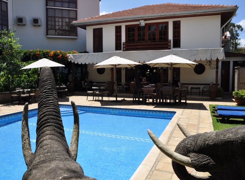 Tanzania safari arusha hotel comfort african tulip