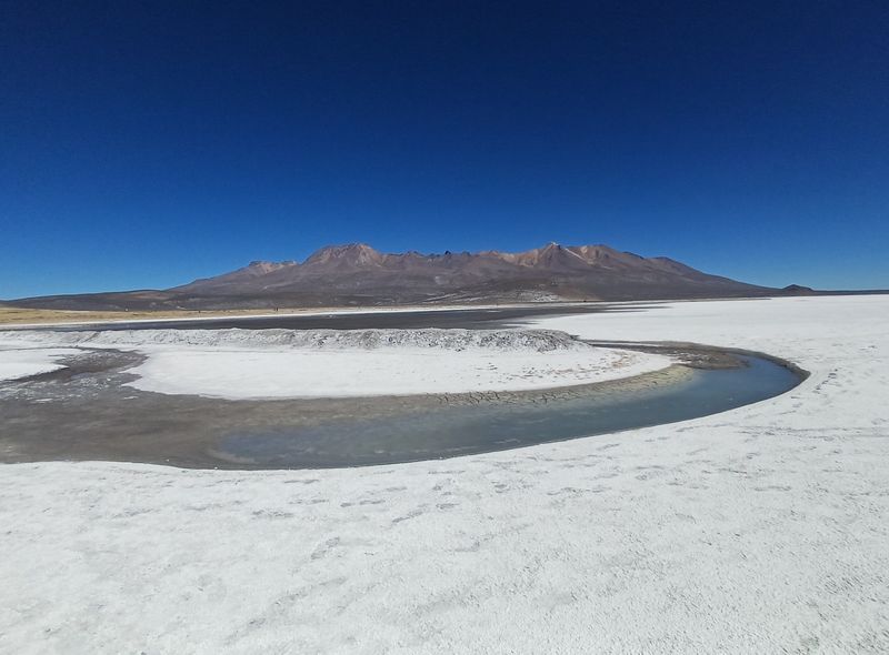 salinas arequipa
