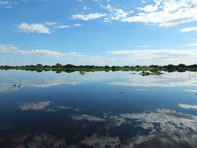 Uitzicht op de pantanal in Brazilië