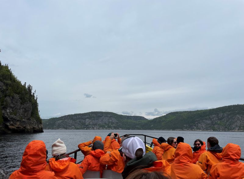 Whale watching in Tadoussac Québec