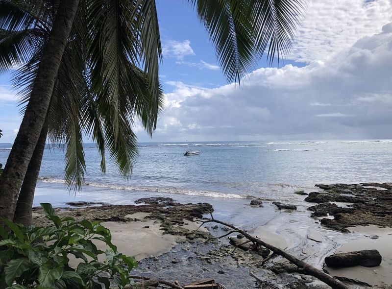 Filmpjeswedstrijd 2023