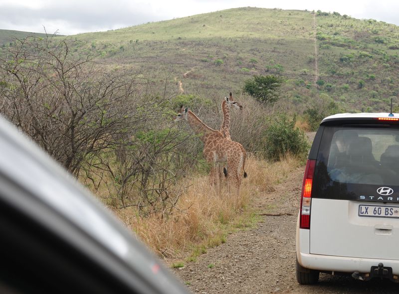 huurwagen in zuid-afrika