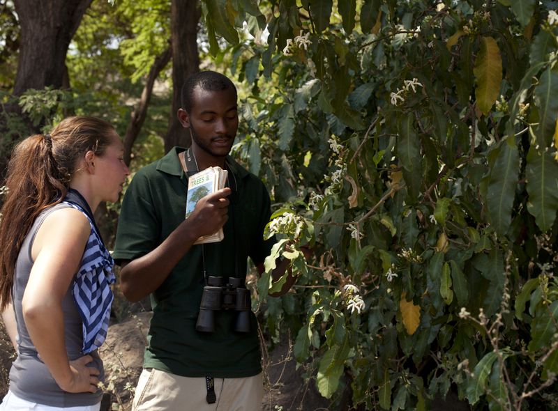 Forest Hike manyara