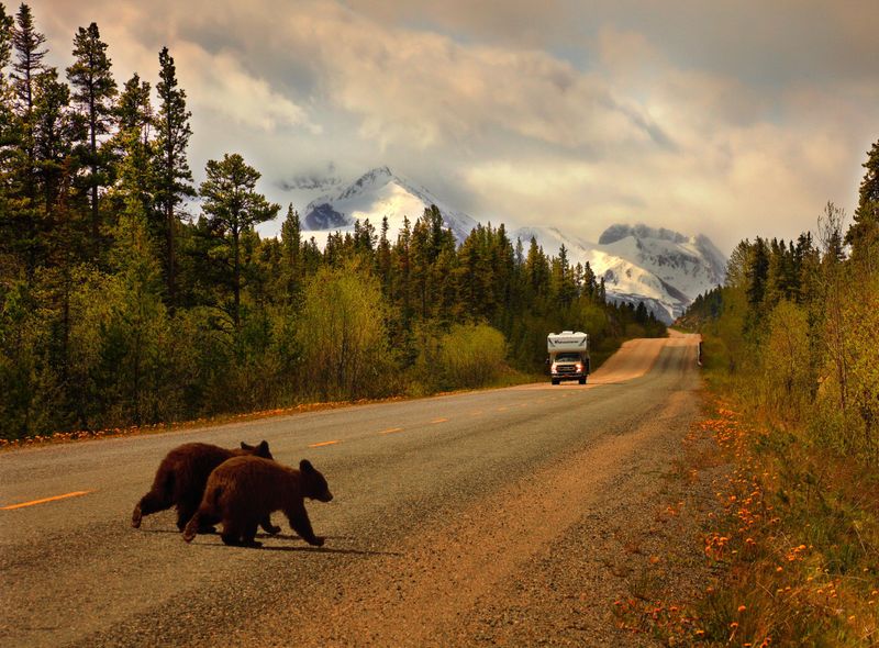 Met de camper op individuele rondreis in Alaska