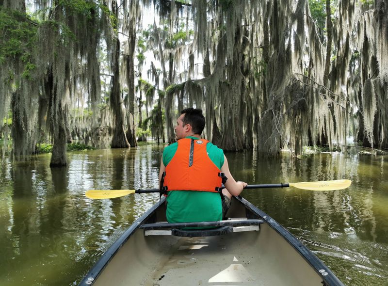 Kanovaren swamp Louisiana