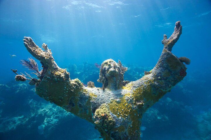 Snorkelen in Key Largo