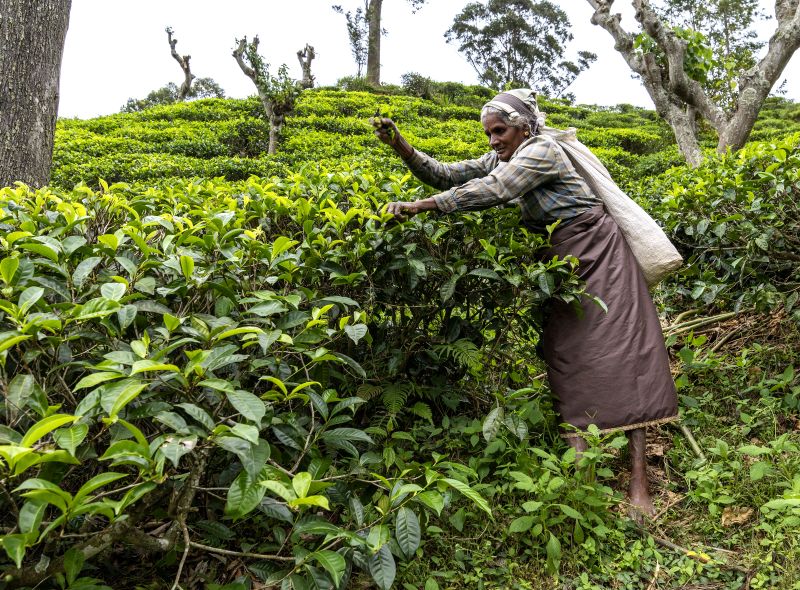 Investeren in mensen - regeneratief toerisme