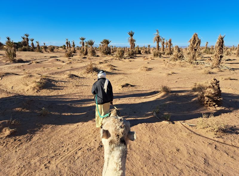 Aandacht voor de natuur - regeneratief toerisme