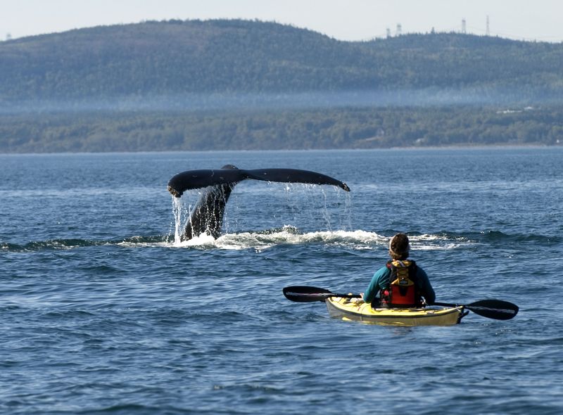 Côte-Nord © GouvQc Benoit Cecile