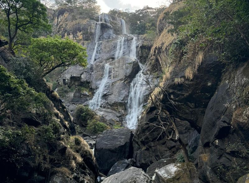 Sanjewaterval Udzungwa