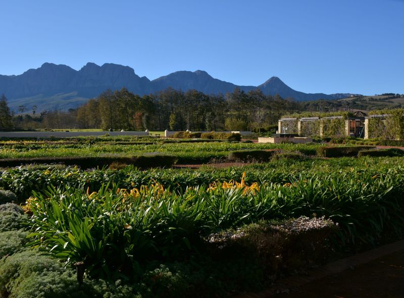 Wijnstreek Zuid-Afrika