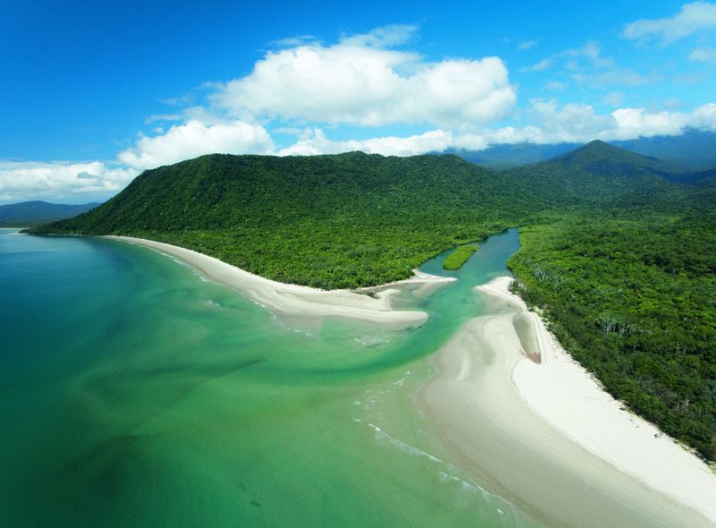Daintree