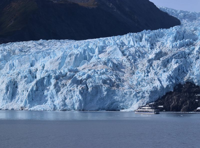 Kenai Fjords Cruise Seward