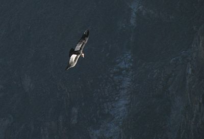 3 uitzonderlijk mooie trekkings in Peru