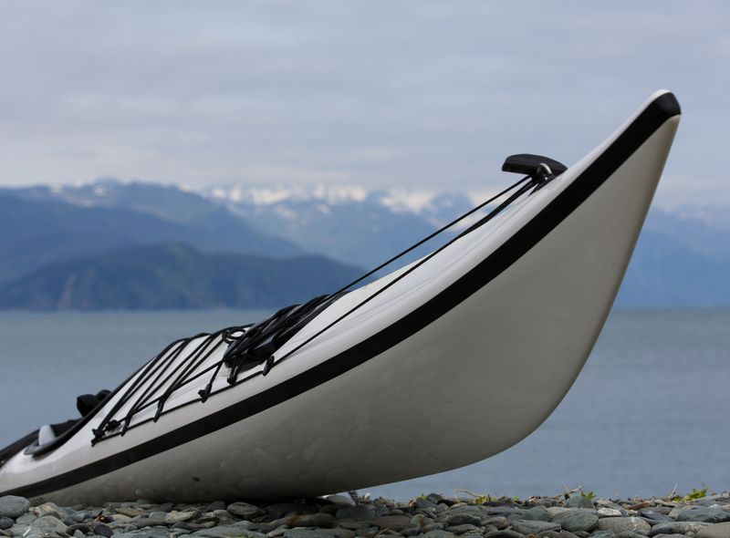 Resurrection Bay Kayaking Seward