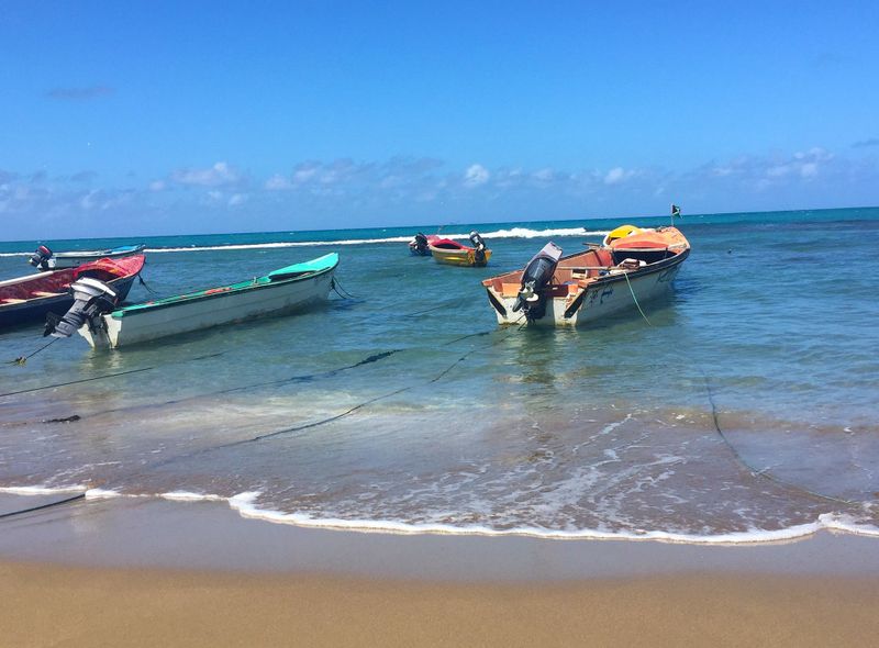 Treasure Beach