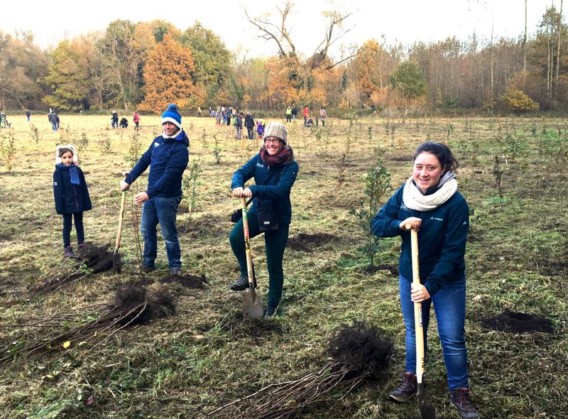 Boomplantactie Joker