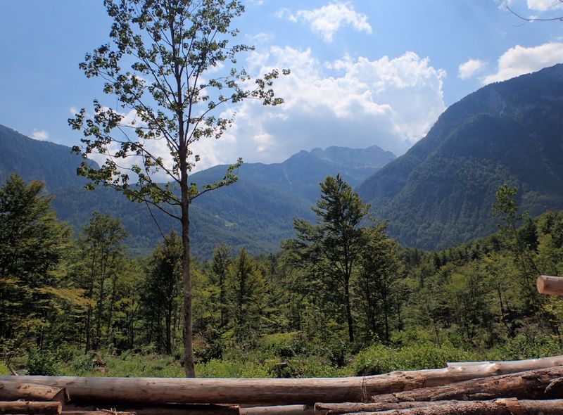 De bergen in Slovenië