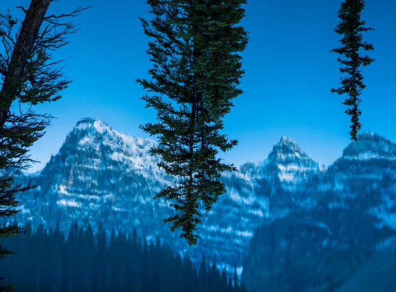 Canada wildlife nature