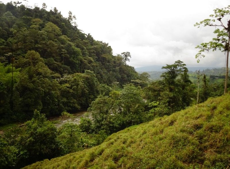 Bos+ Ecuador