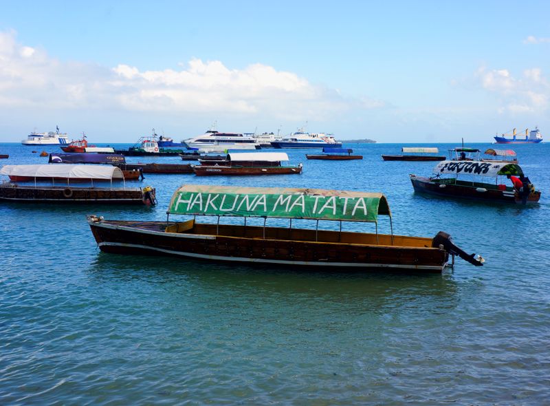 Tanzania hakuna matata reis Afrika Zanzibar