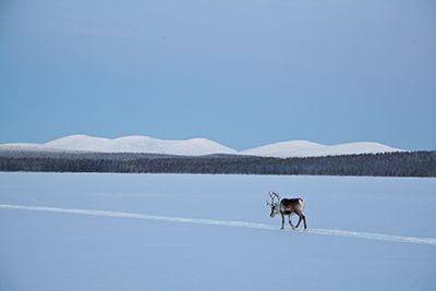 Winterkamperen: slapen in de sneeuw