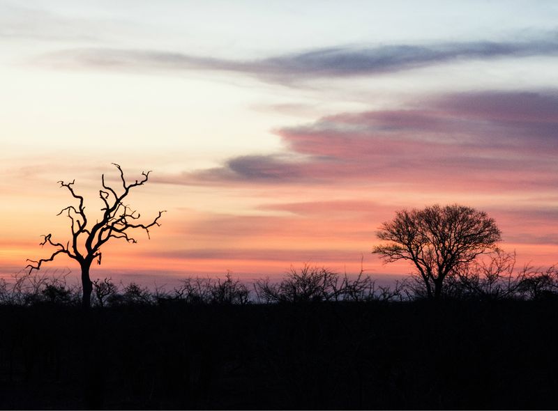 Afrika Zuid-Afrika Johannesburg reis