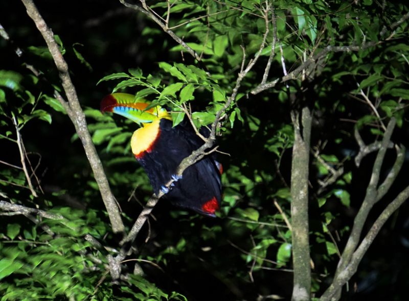 Groepsreis Costa Rica, Comfort