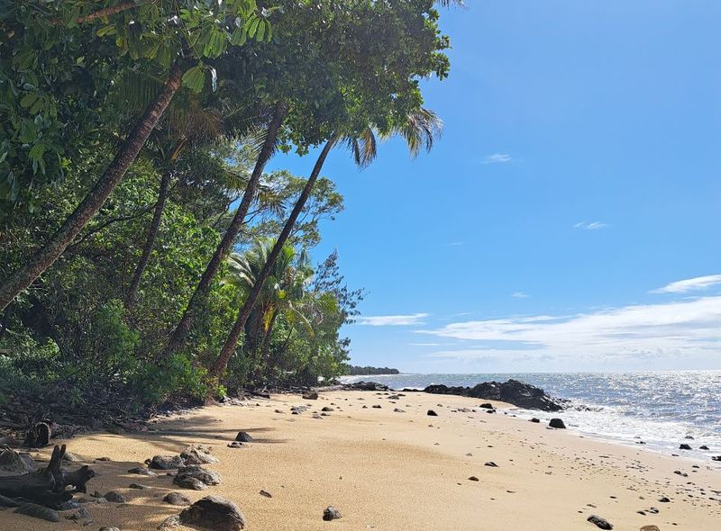 Australië groepsreis Mission Beach regenwoud en strand