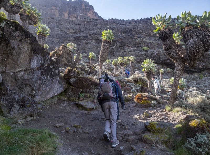 Tanzania groepsreis Kilimanjaro trekking