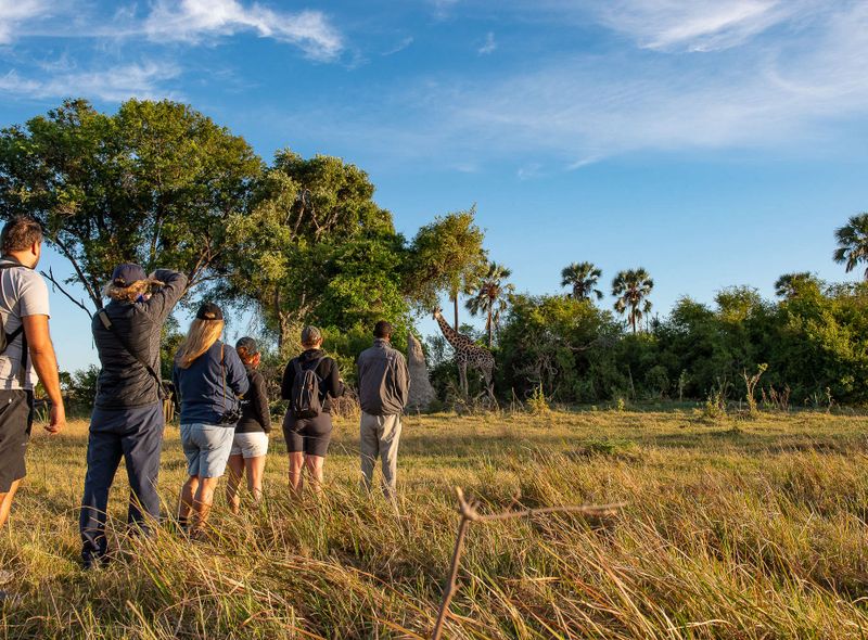 Groepsreis Botswana wandelsafari in de Okavango Delta giraf