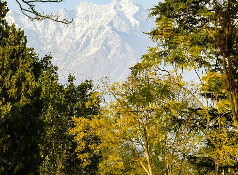 Groepsreis India plantage en bergpiek