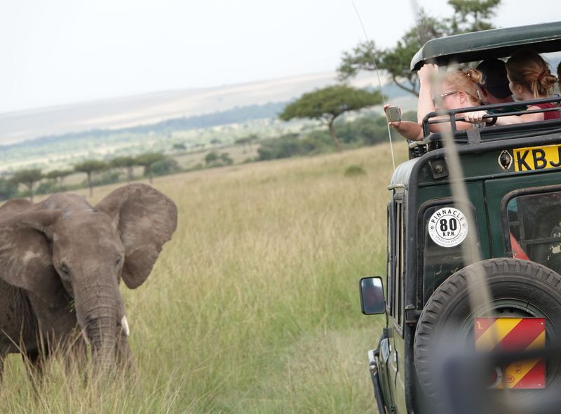 Groepsreis Kenia Oeganda en Tanzania jongerenreis safari in jeeps olifant
