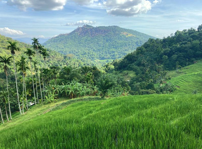 Groepsreis Sri Lanka Knuckels