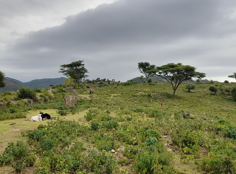 Groepsreis Ethiopië trekking in het zuiden