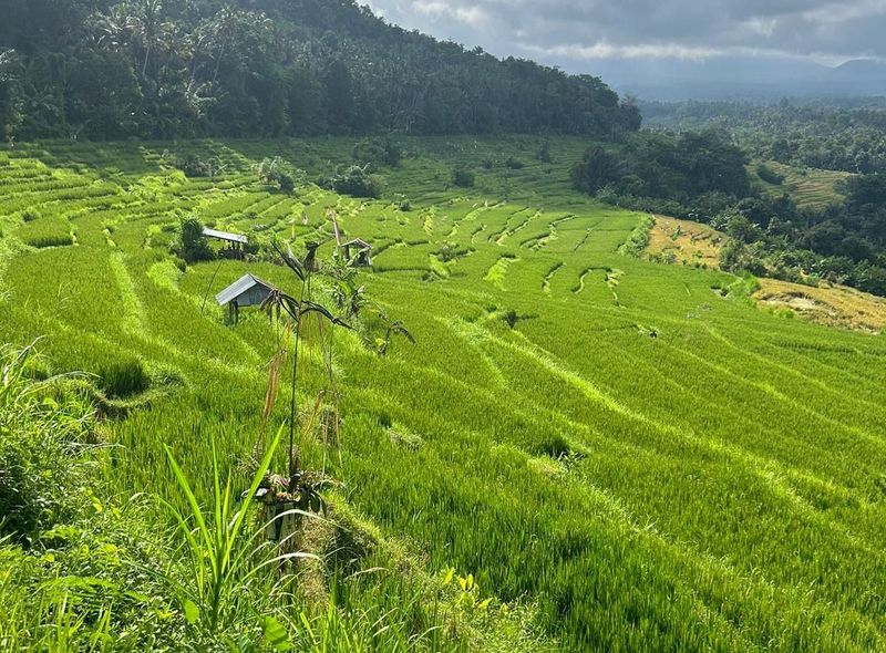 Studiereis Bali