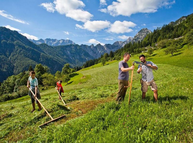 Groepsreis Slovenië