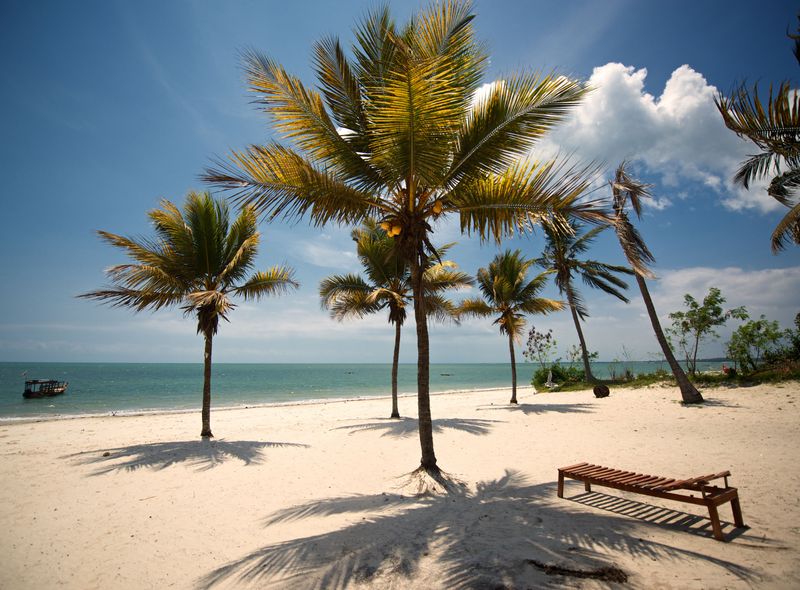 Groepsreis jongerenreis Tanzania strand in Bagamoyo palmbomen