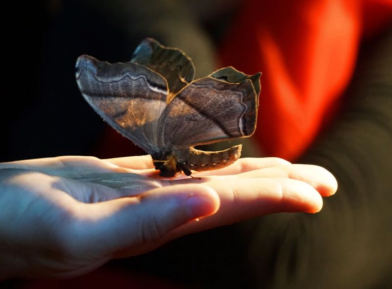 Costa Rica &amp; Nicaragua